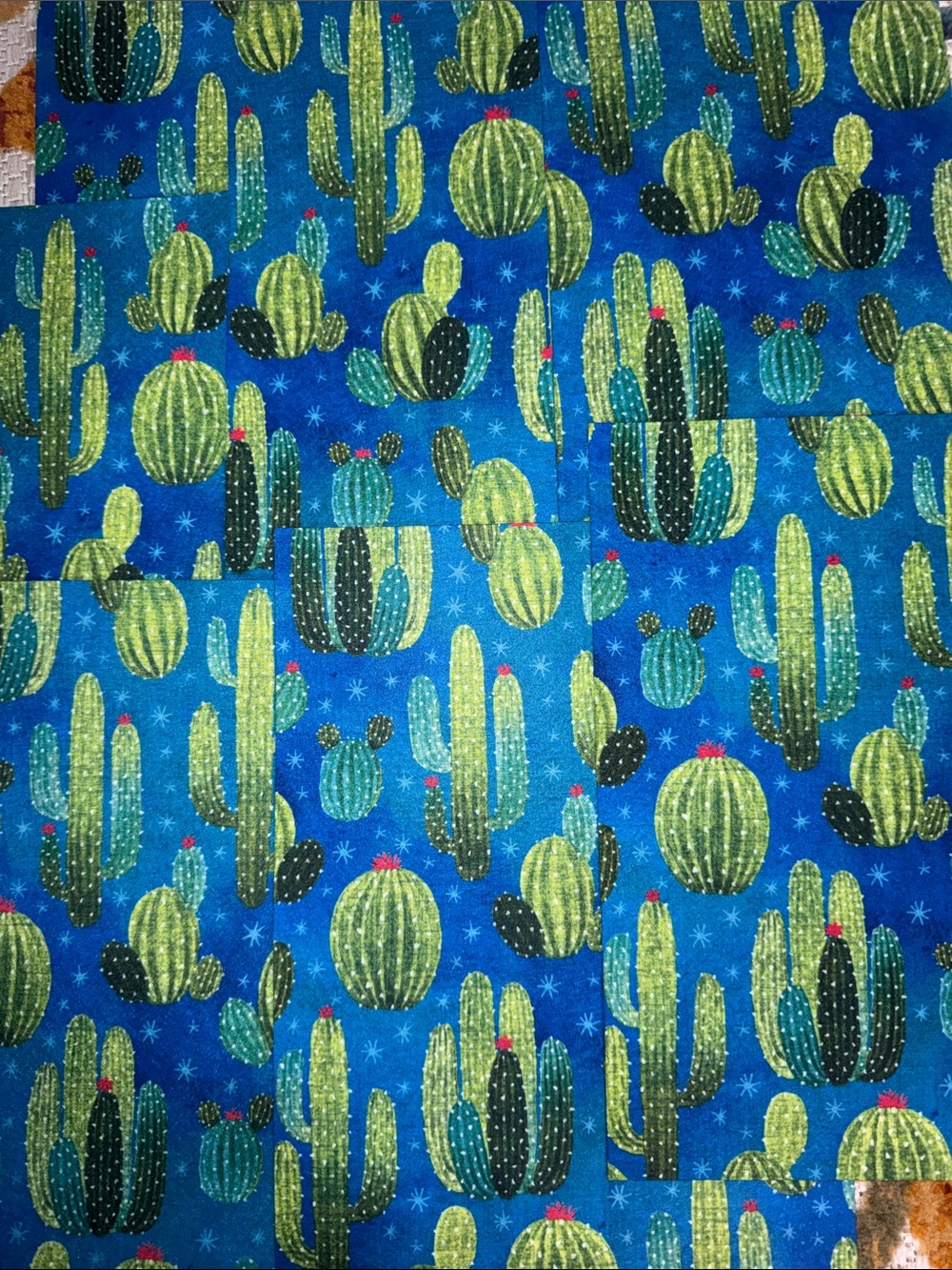 Craft Felt in a Cactus Print, 6 Sheets, New